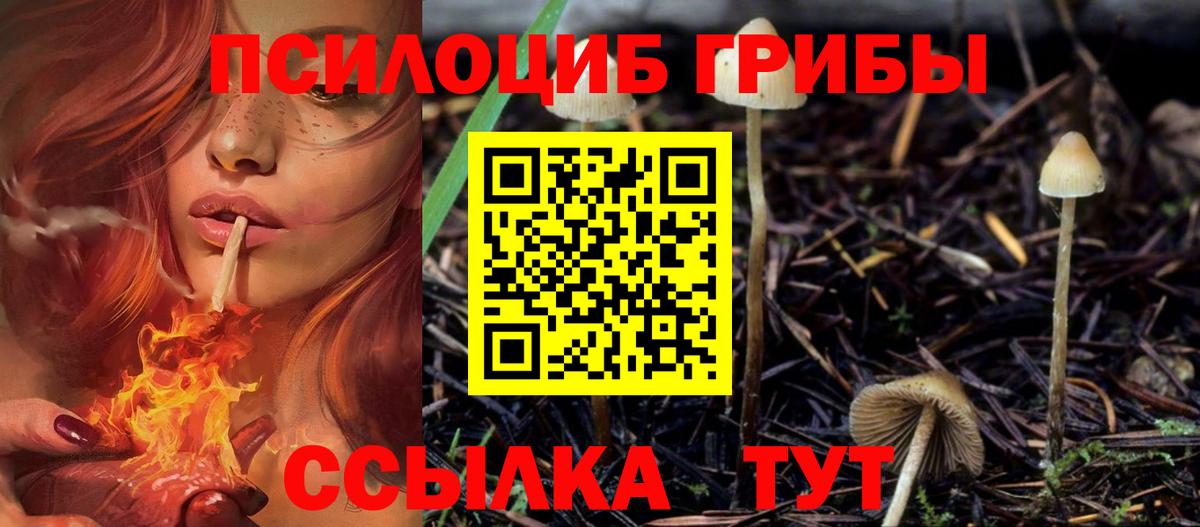 Псилоцибиновые грибы Magic Shrooms Краснодар
