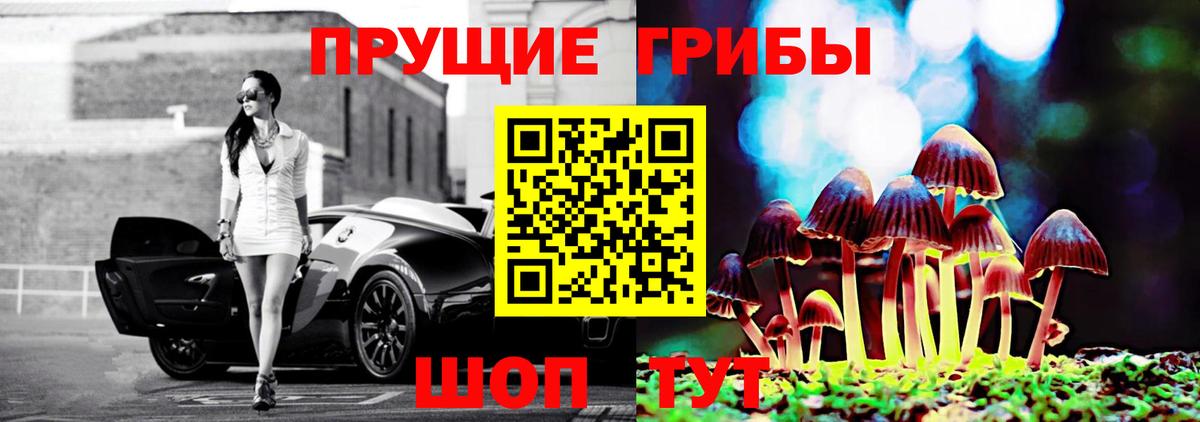 Псилоцибиновые грибы MAGIC MUSHROOMS  Вход с VPN  Псилоцибиновые грибы MAGIC MUSHROOMS  Краснодар 